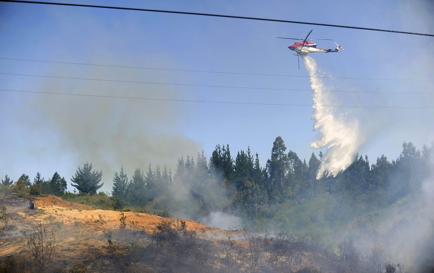 Fiscalía Nacional Económica acusa colusión de empresas de combate de incendios forestales