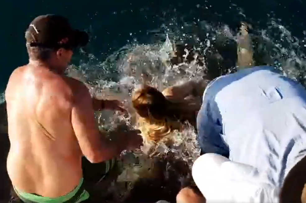 Mujer es atacada por tiburón tras darle de comer