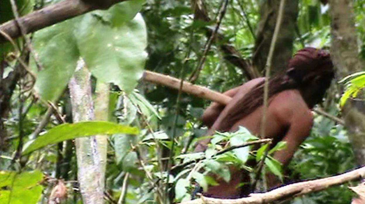 (Video) Identifican a sobreviviente de una tribu indígena amazónica