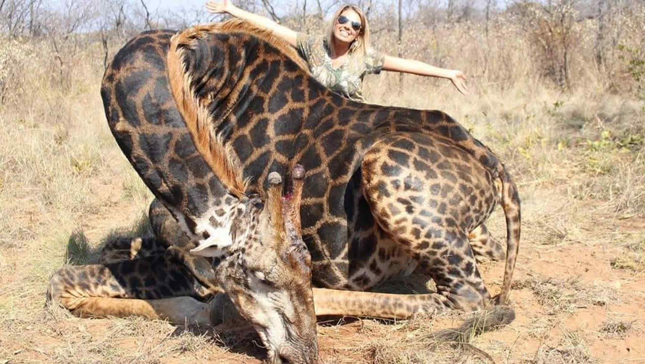 Asesina de jirafas asegura que sus acciones ayuda a conservar animales