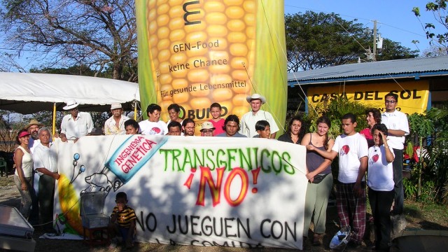 Presidentes de Costa Rica se niegan a cumplir promesa sobre transgénicos