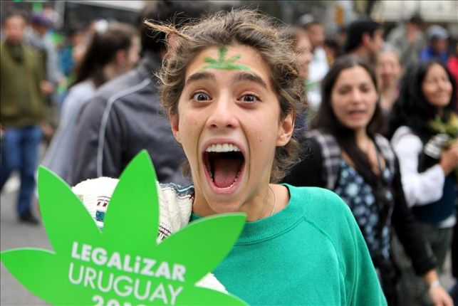 Ya son 25 mil los consumidores que compran legalmente marihuana en Uruguay