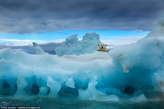 (Imágenes) Increíbles paisajes capturados en el libro Arctic Solitaire de Paul Souders