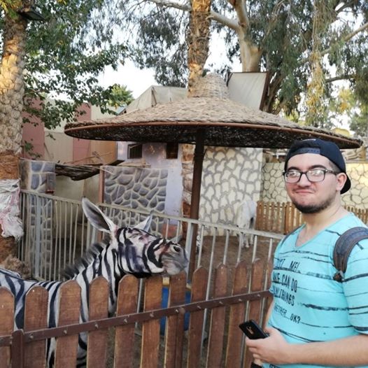 Por pintar una burra como cebra fue cerrado zoológico en Egipto