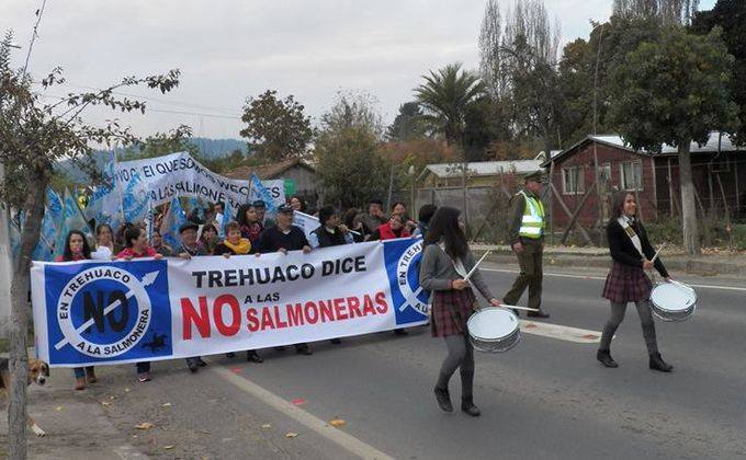 Plantean creación de un frente regional en contra de las salmoneras en el BioBío