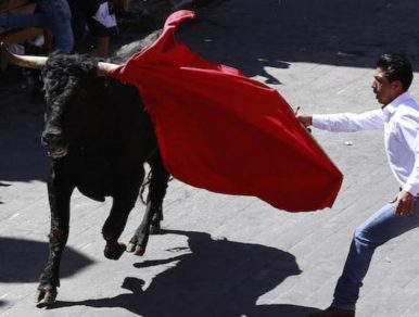 Corte Constitucional de Colombia legalizó las tauromaquias