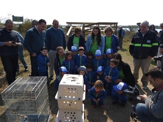 (Video) Especies de nutrias y aves fueron liberadas en río de Uruguay