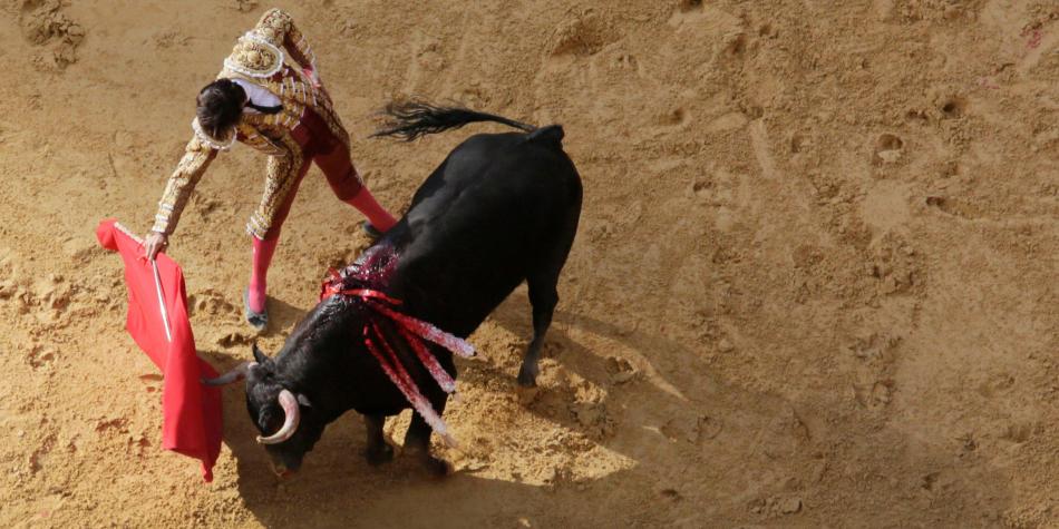 Vuelve el maltrato animal a Colombia con las corridas de toros