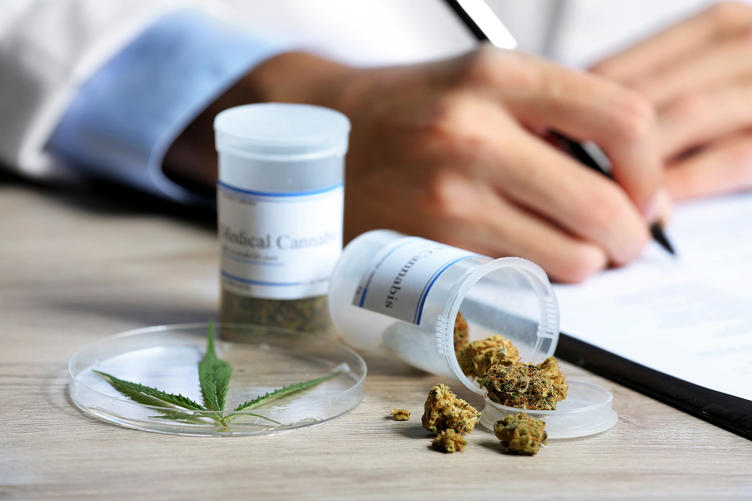 Ley autoriza a la marihuana como sustituto de analgésicos en EE. UU.