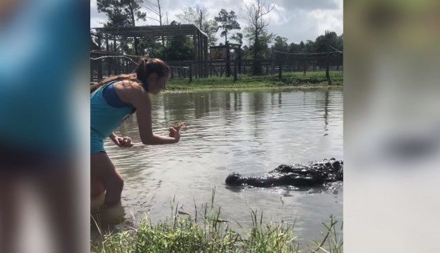 Mujer alimenta a cocodrilo gigante y se hace viral en las redes sociales