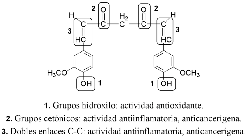 Conoce la fruta que es antioxidante y anticancerígena