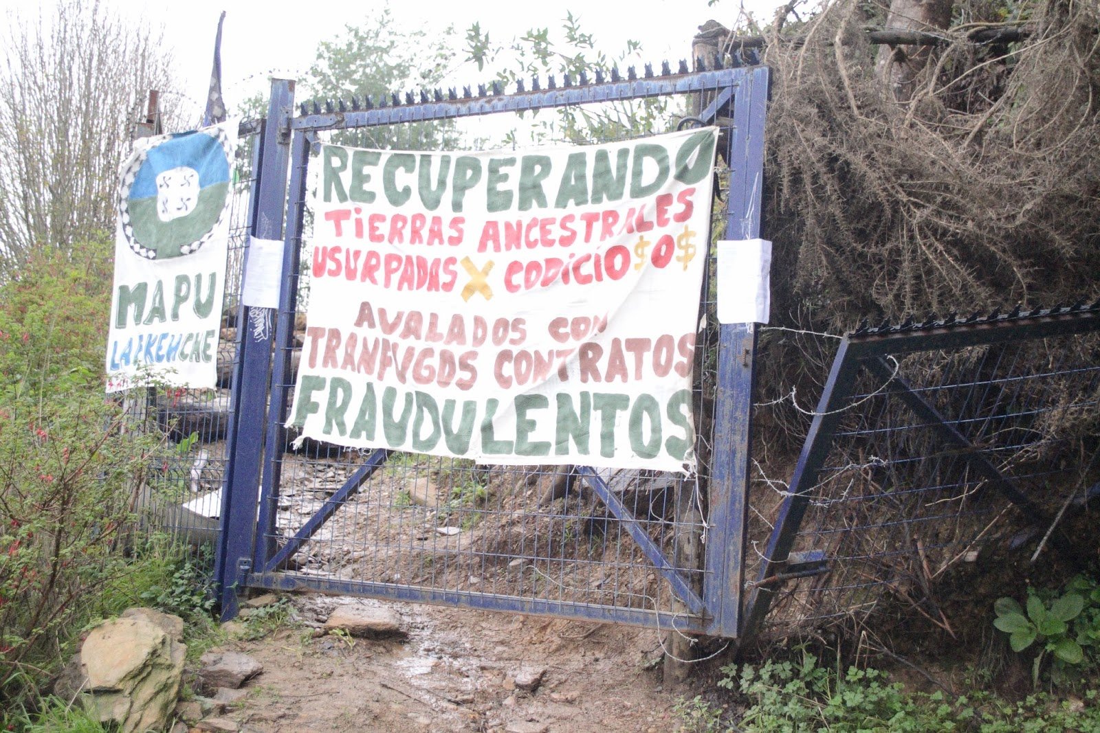 Valdivia: Lof Michillanca recurre a la Justicia para recuperar y proteger su territorio