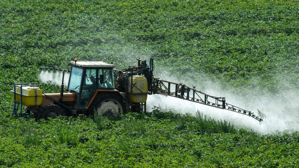 Sustancia cancerígena: Herbicida de Monsanto presente en 43 cereales de desayuno