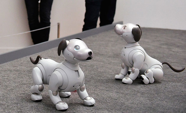 Aibo, el sensacional perro robot japonés con inteligencia artificial