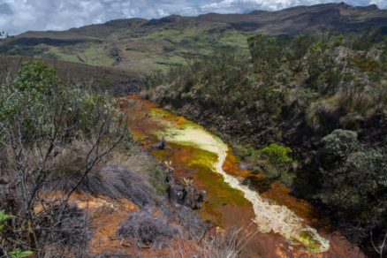 «Desde mañana la Tierra opera con sobregiro medioambiental»: Greenpeace y el día que marca el fin de los recursos naturales