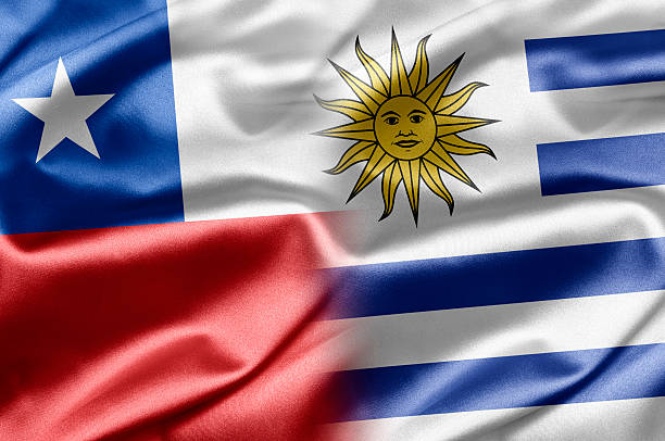 TLC con Uruguay, Congreso y Derechos Humanos