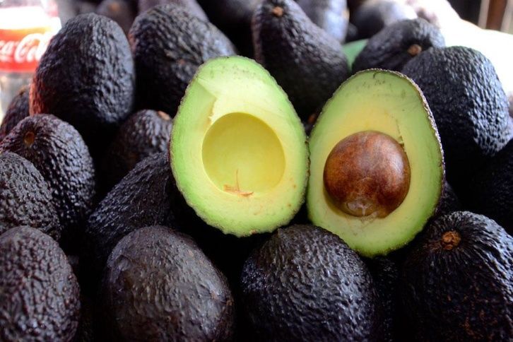 ¡Un trabajo soñado! Cobrar por comer aguacate durante 6 meses