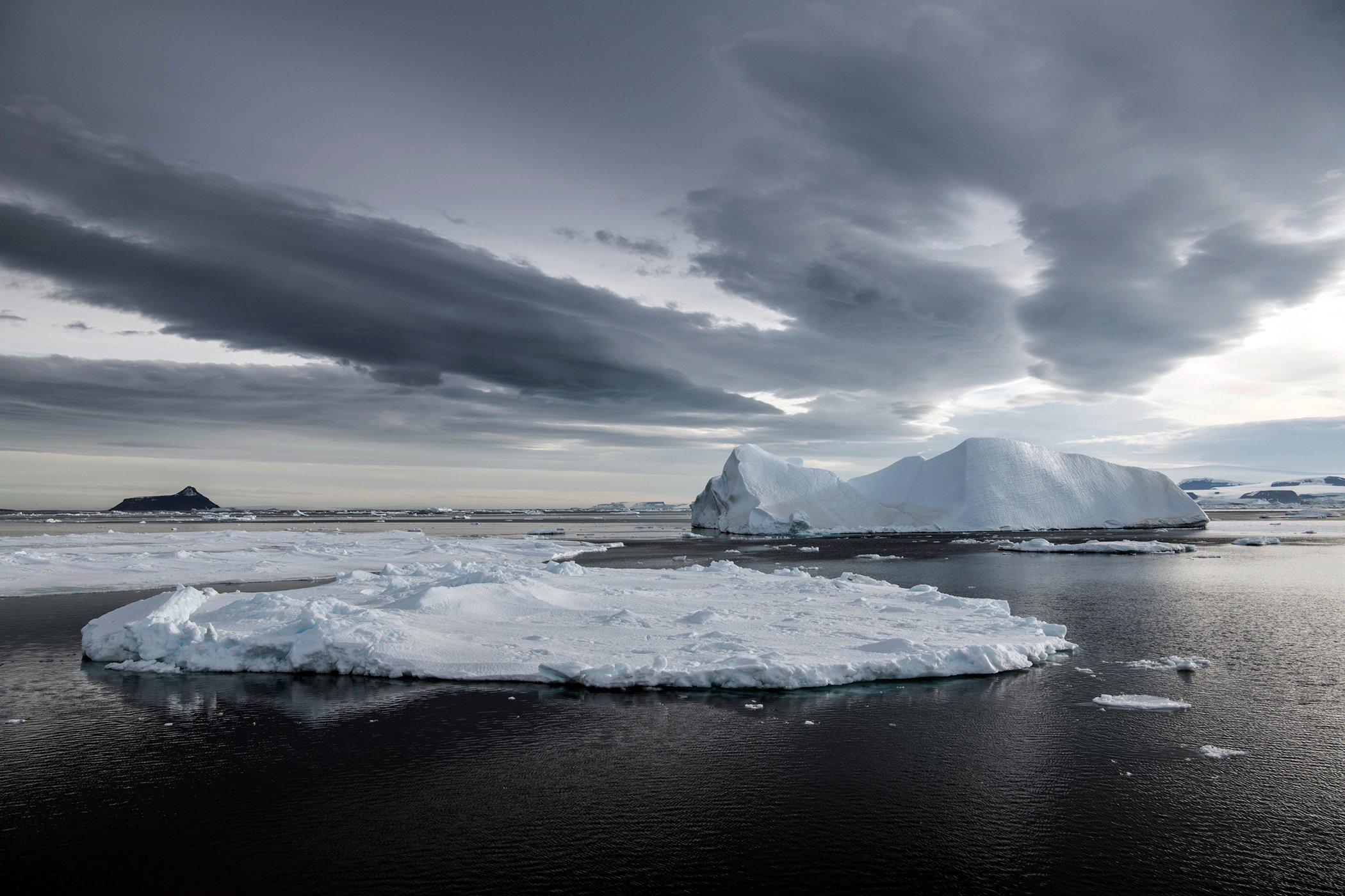 Proponen crear dos grandes santuarios oceánicos para proteger la Antártida