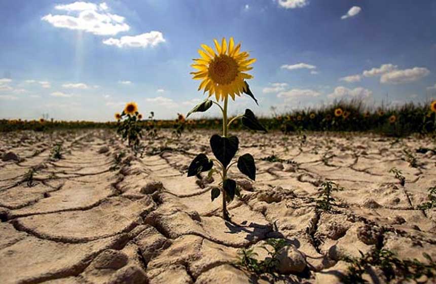 Efecto invernadero perjudicará la nutrición de 200 millones de personas