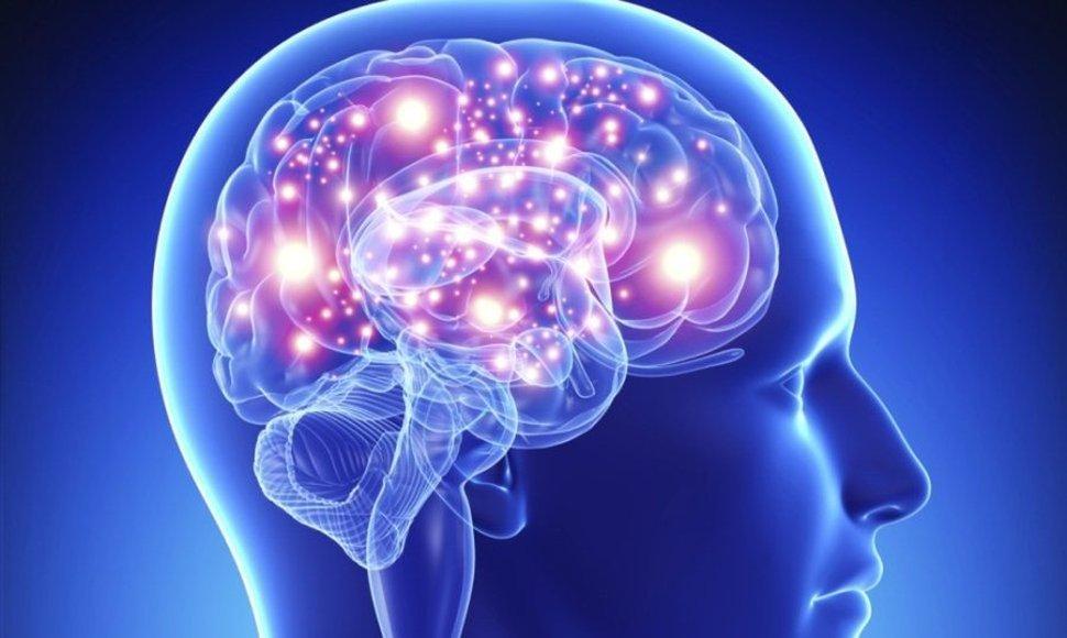 ¿Quieres memorizar fácilmente? Aprende la dieta para el cerebro