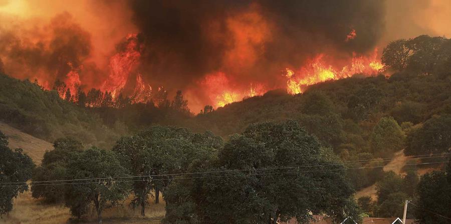 Incendios forestales en california (EE. UU.) cobran su séptima victima