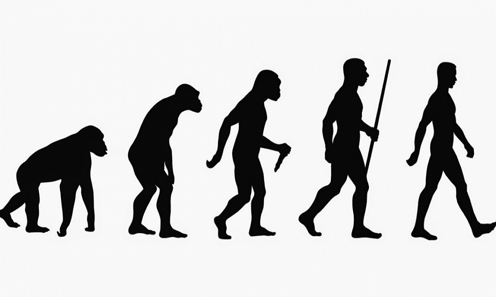 Científicos contradicen el mayor mito de la evolución humana