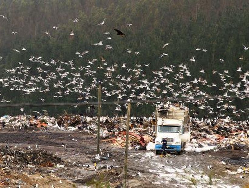 Alarma ambiental: Interponen recurso para impedir descarga de desechos tóxicos en Copiulemu