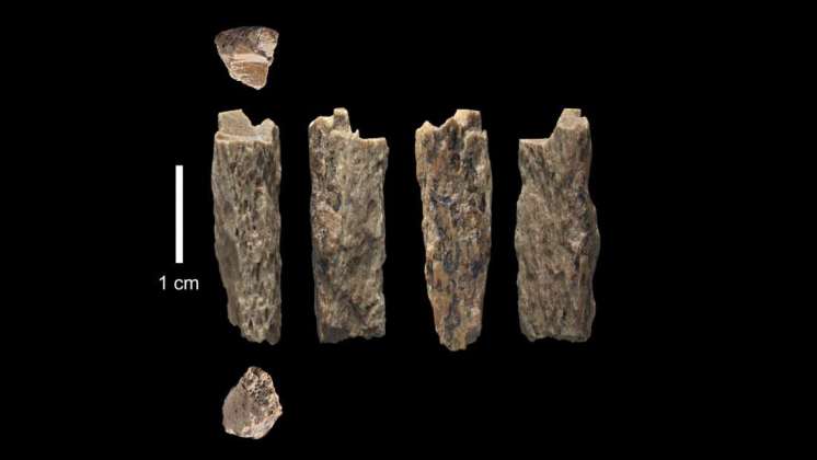 Restos de adolescente de hace 50 mil años muestran que era hija de neandertal y denisovano
