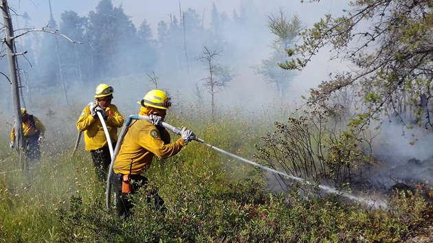 Alerta ante posible evacuación por un incendio forestal en Canadá
