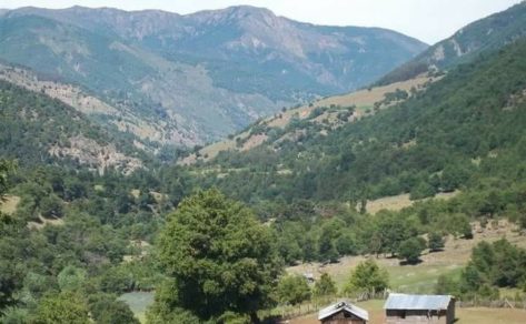 Familias pewenches de Alto Biobío rechazan orden de desalojo: «No vamos a abandonar el territorio»