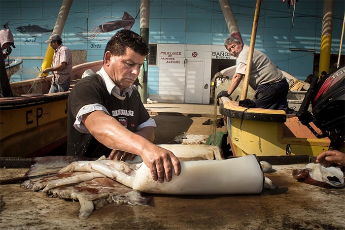 Pescadores artesanales acusan “inconsecuencia” de Agetremar por ponerse a favor de la pesca de arrastre de la jibia