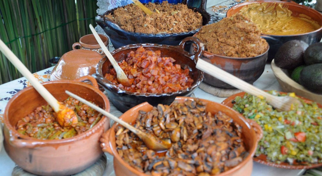 Gastronomía indígena se expondrá en  el Terra Madre Salone del Gusto