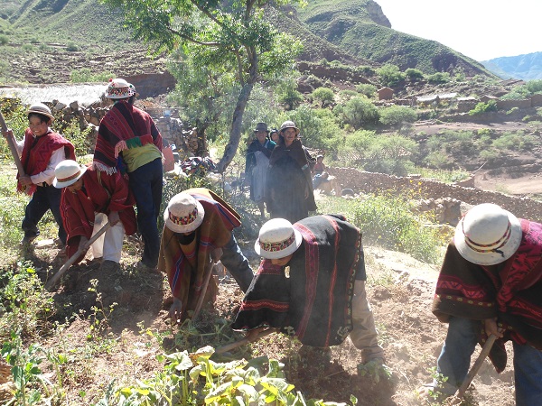 Indígenas bolivianos solicitarán a la CIDH intervención para lograr titularidad de sus tierras