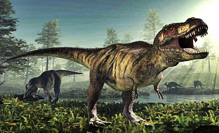 (Fotos) Paleontólogos descubren dos nuevos dinosaurios en una expedición a China