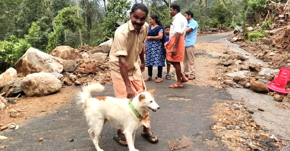 (Video) ¡Superperro! Salvó a una familia de las inundaciones en la India