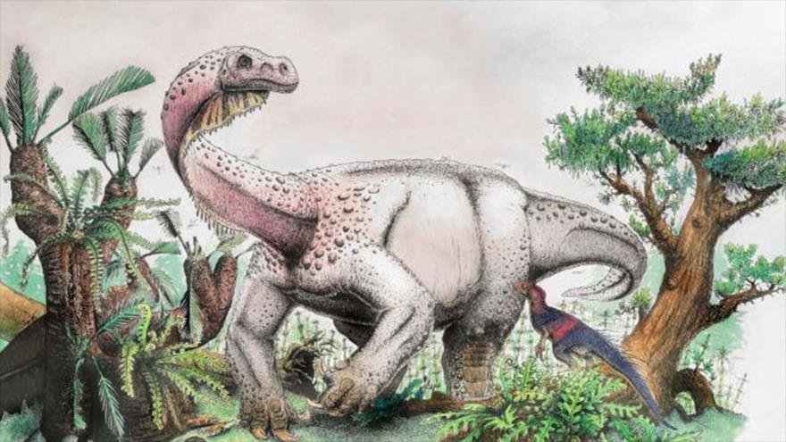 Descubren el dinosaurio más grande del período jurásico