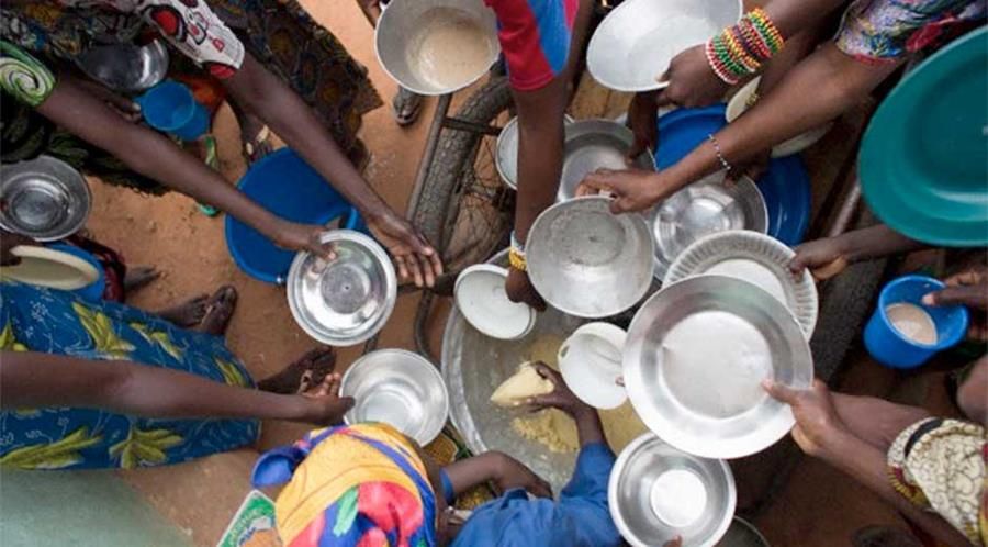 FAO: Estamos estancados en la lucha contra el hambre en Latinoamérica