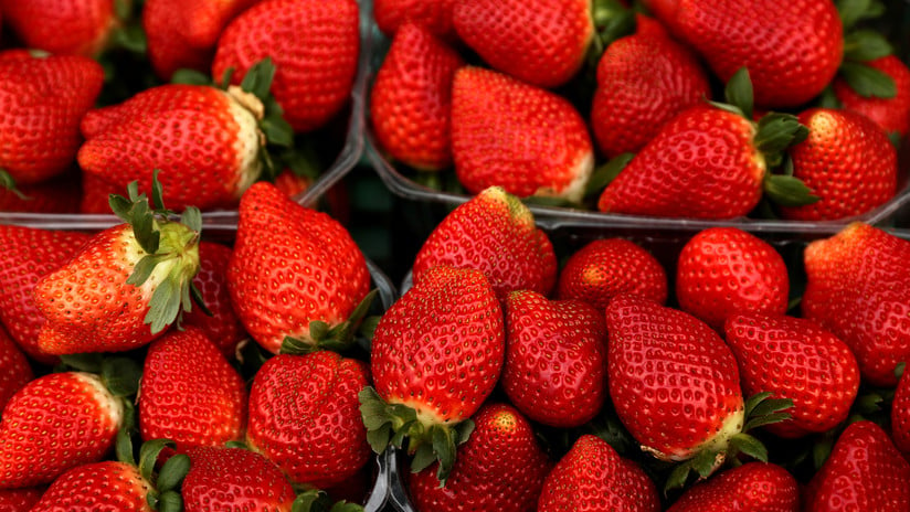 Nueva Zelanda también detecta agujas en fresas australianas