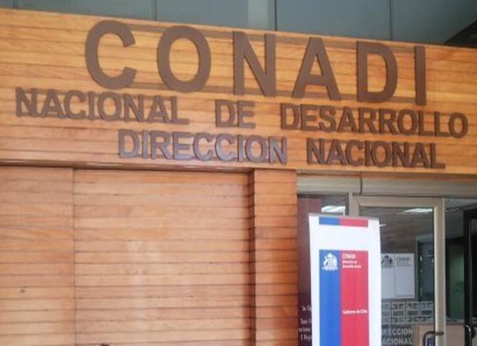 Alcalde de Tirúa y compra de terrenos por la Conadi: «Es tremendamente engorroso lograrlo con todos los requisitos exigidos»