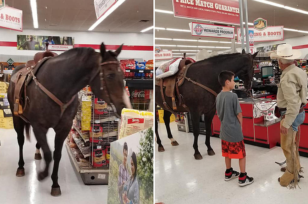 (Vídeo) Entró con su caballo: El lejano oeste llegó a una tienda de mascotas en Oklahoma