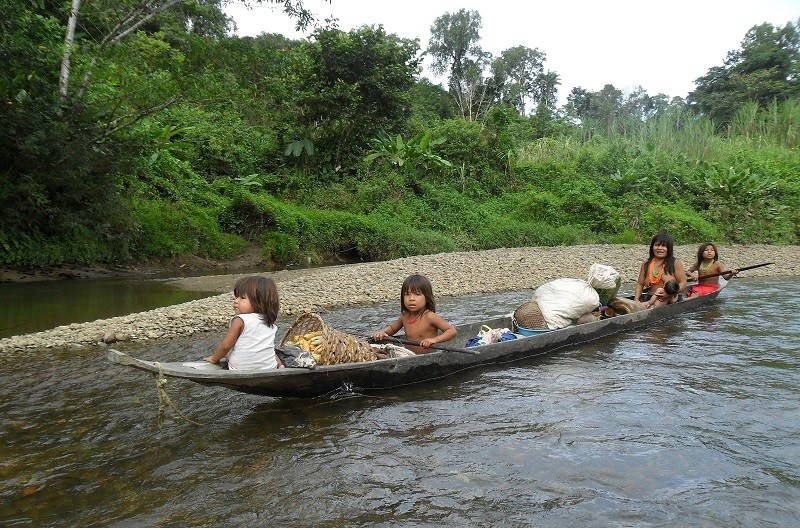 Una infección está acabando con la vida de los niños indígenas en Chocó