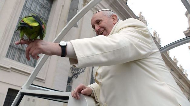 Papa Francisco pide desarrollar la dimensión ecológica de la economía