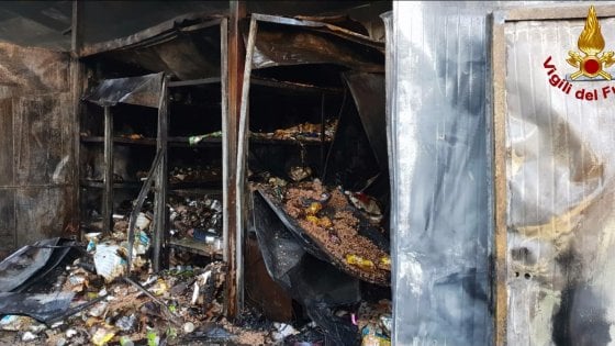 Más de cien gatos murieron calcinados al incendiarse un refugio en Milán