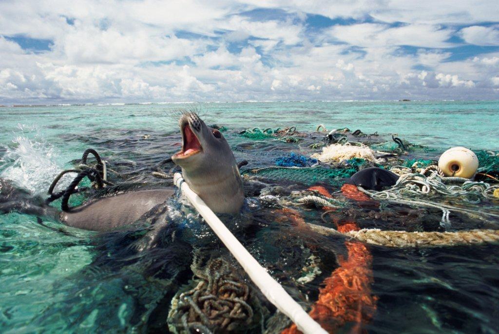 ¿Sabe usted a dónde van los desechos que terminan en las playas y mares?