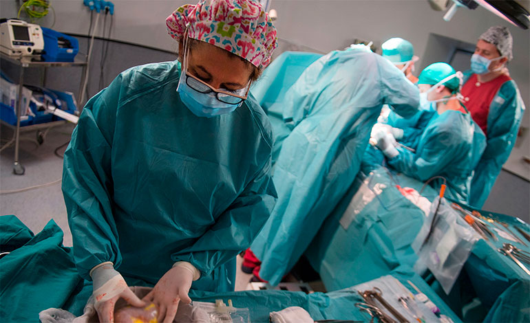 Órganos donados con micrometástasis contagiaron de cáncer a 4 personas
