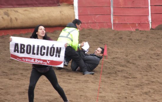 Nueva protesta contra el rodeo deja 22 detenidos en el parque Alberto Hurtado