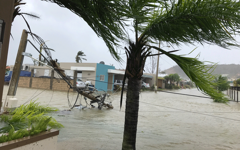 Trump se niega a reconocer la cifra real de muertes del huracán María en Puerto Rico