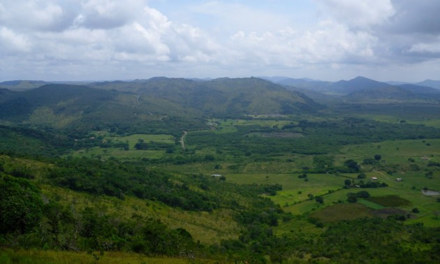 Venezuela es vanguardia en emprendimientos forestales sustentables