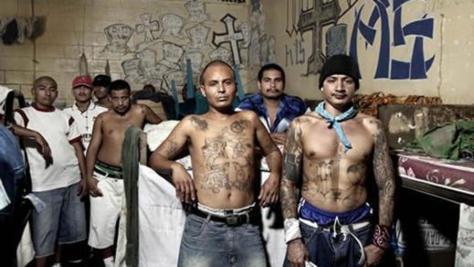Mara Salvatrucha