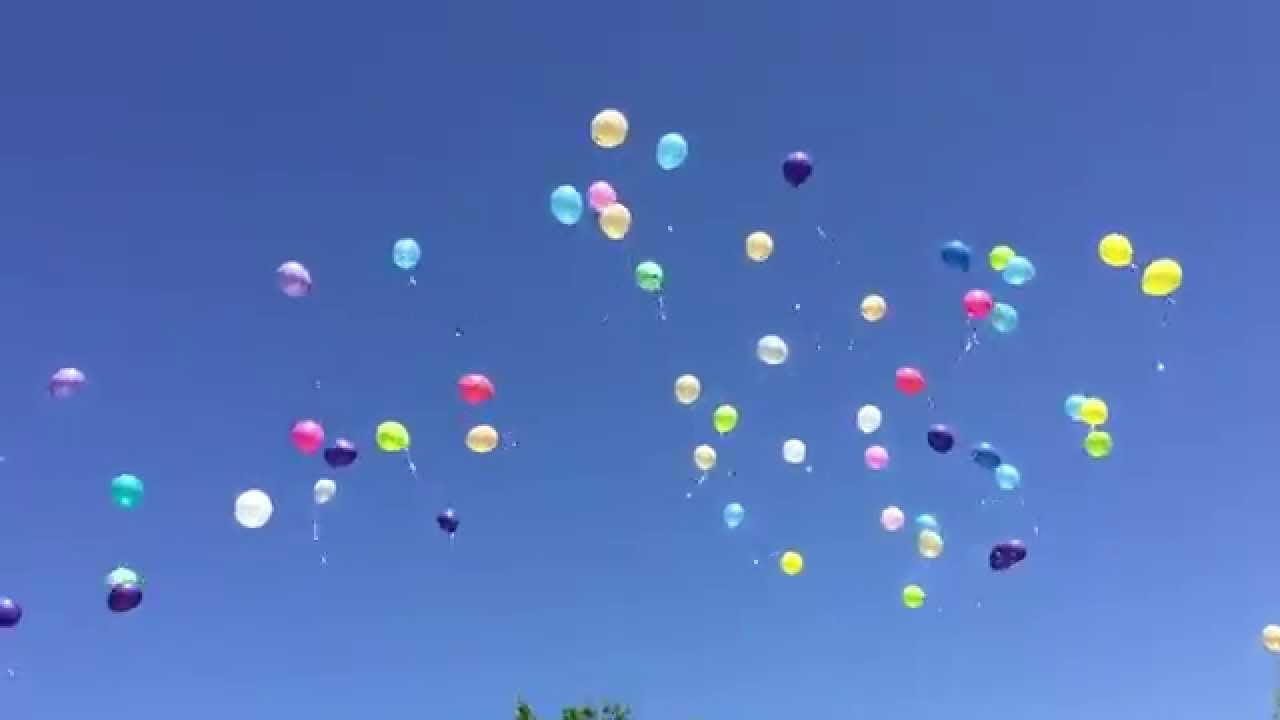 (Video) Los globos de helio son armas letales para el reino animal